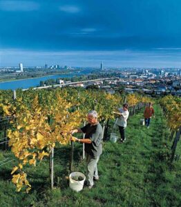 Foto: vienna.info