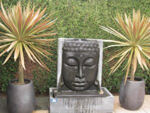 IMG_8247-copy