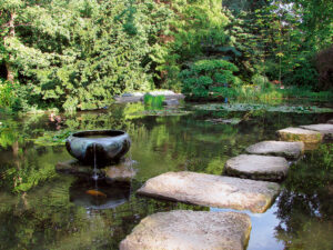 GR-DINA-BOTANIC-----XANTEN-1-035