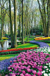 Gradina-PARK-22