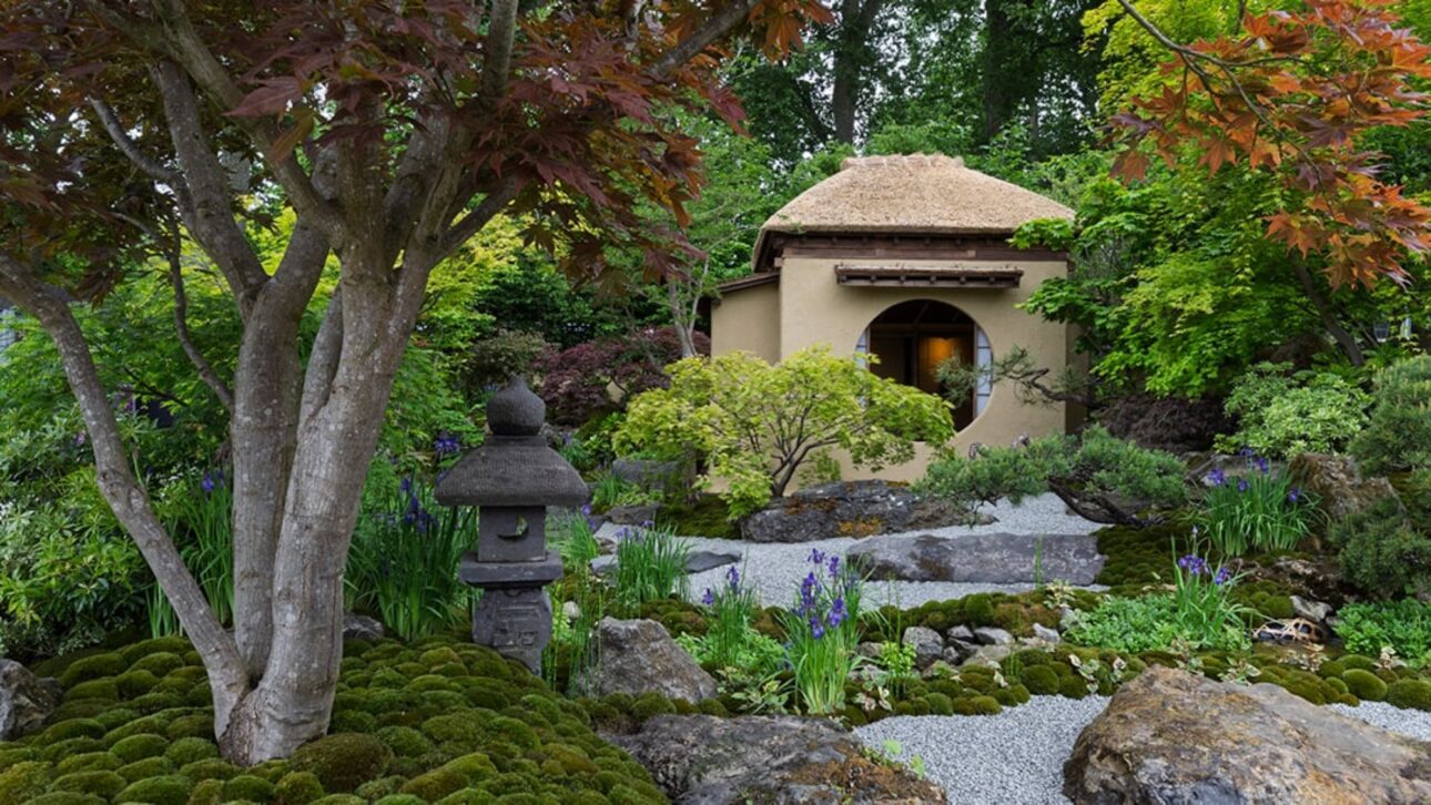 Grădină japoneză: sanctuar al armoniei într-o compoziție cu piatră și vegetație luxuriantă