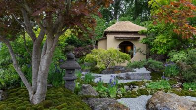 Grădină japoneză: sanctuar al armoniei într-o compoziție cu piatră și vegetație luxuriantă