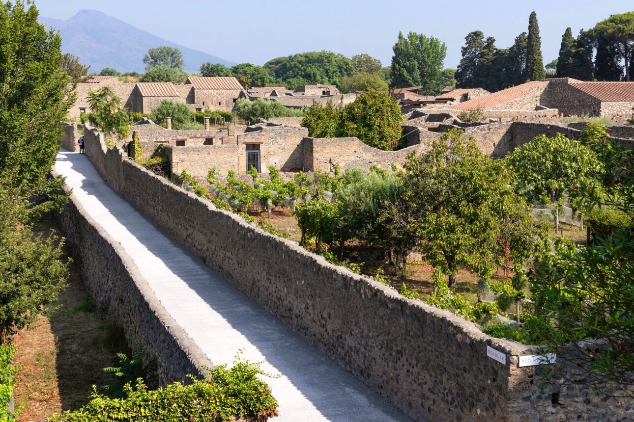 Grădina lui Hercules: cum a fost readusă la viaţă, după 2.000 de ani, o grădină din Pompeii