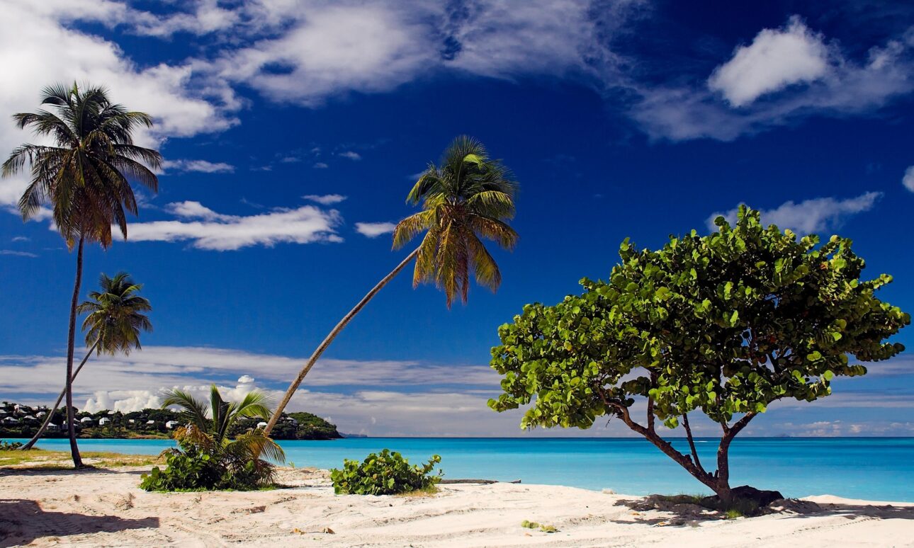 Cetățenie pentru Paradis: Antigua și Barbuda te invită sǎ rămâi în Caraibe