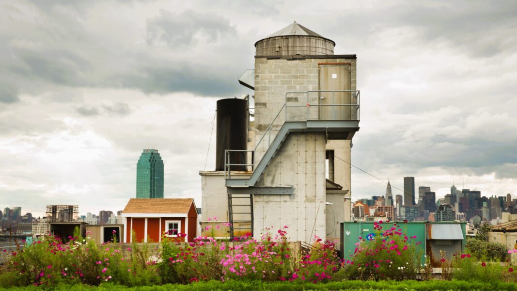 Arhitectură, grădinărit şi sustenabilitate: Brooklyn Grange şi moda agriculturii pe acoperiş