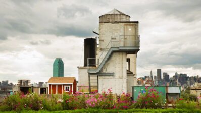 Arhitectură, grădinărit şi sustenabilitate: Brooklyn Grange şi moda agriculturii pe acoperiş