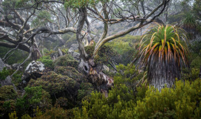 Natura devine artă: cele mai frumoase peisaje, premiate la Natural Landscape Photography Awards 2025