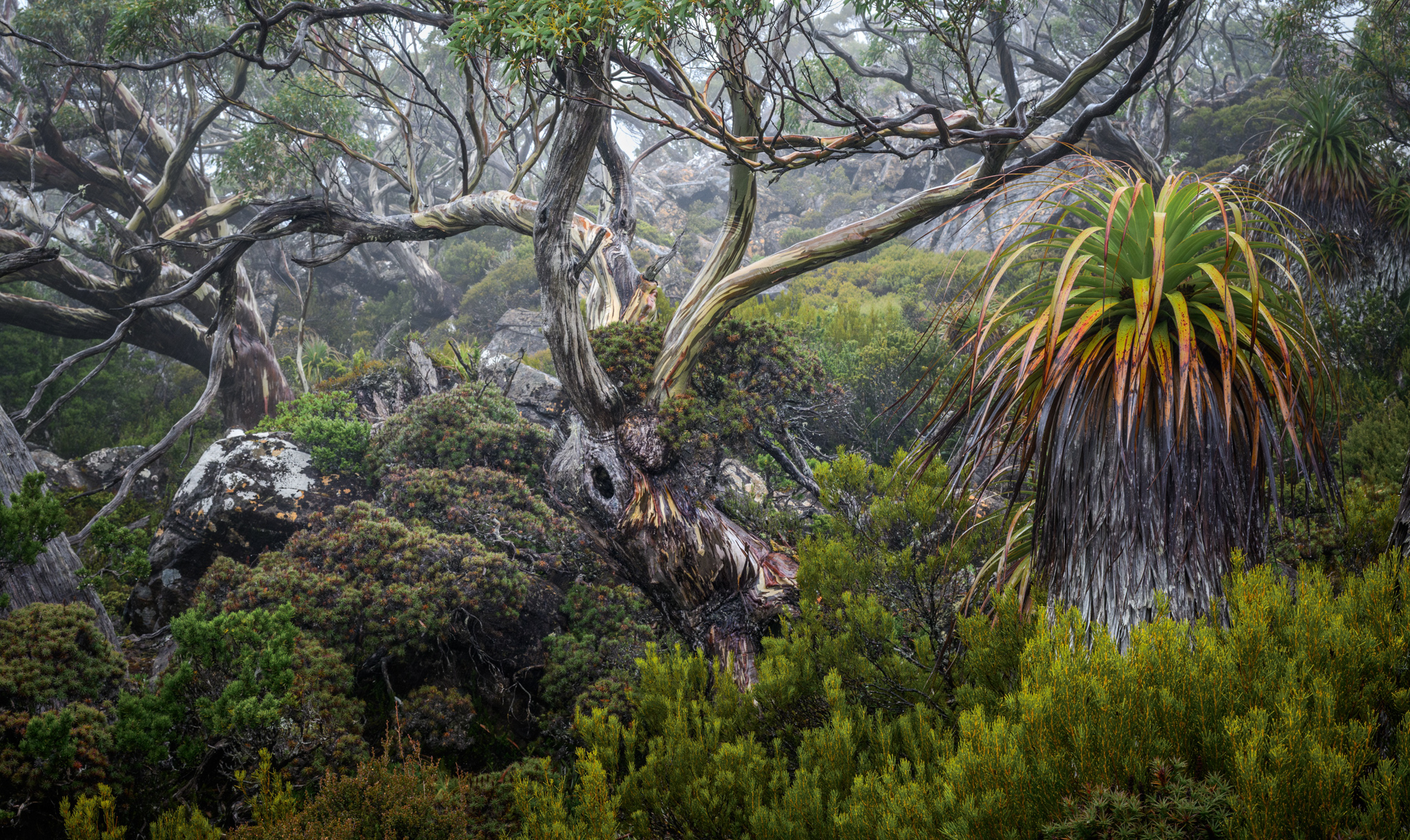 Natura devine artă: cele mai frumoase peisaje, premiate la Natural Landscape Photography Awards 2025