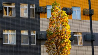 Ghid pentru cumpărătorii de locuințe: ce trebuie să știi pentru o achiziție fără probleme