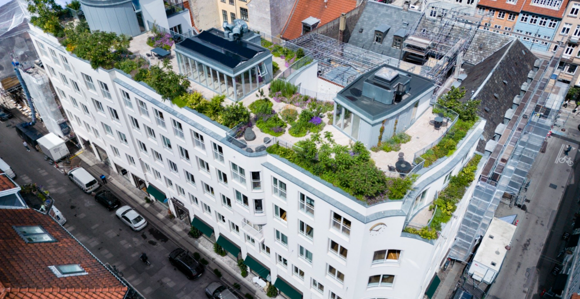 Intermezzo botanic în centrul vechi din Copenhaga: o grădină pe acoperiș este oază de liniște
