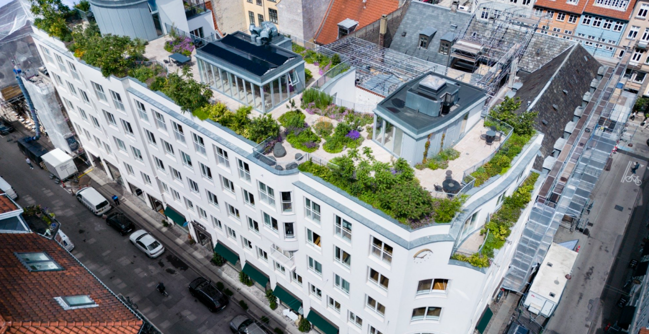 Intermezzo botanic în centrul vechi din Copenhaga: o grădină pe acoperiș este oază de liniște