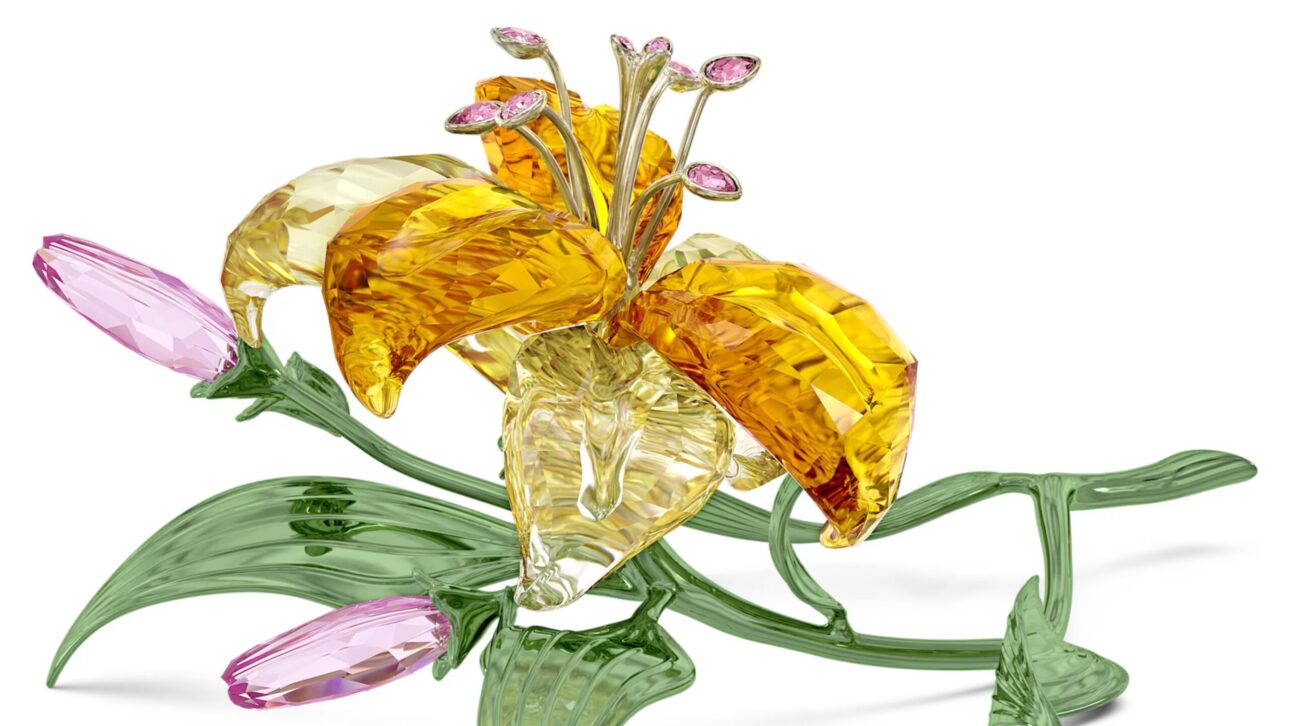 Arta de a găsi darul imposibil: cadouri high-end pentru cei care au de toate