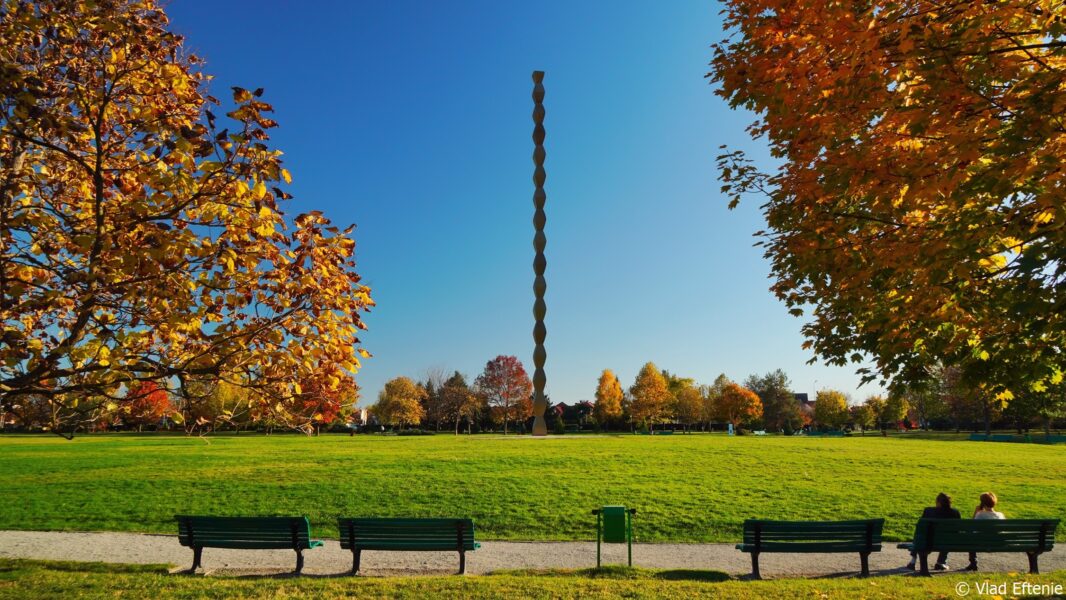 Raze de lumină, tăceri și apropieri: Brâncuși