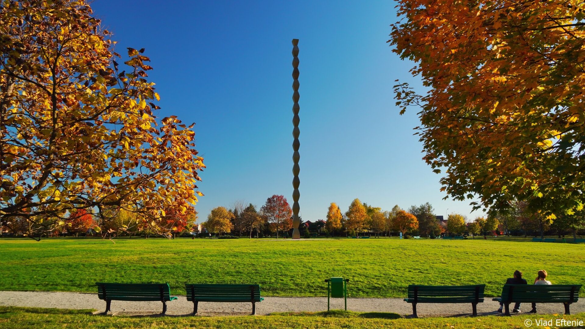 Raze de lumină, tăceri și apropieri: Brâncuși