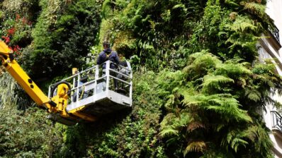 Arhitectura sustenabilă: pereții verzi și fațadele îmbrăcate în mușchi