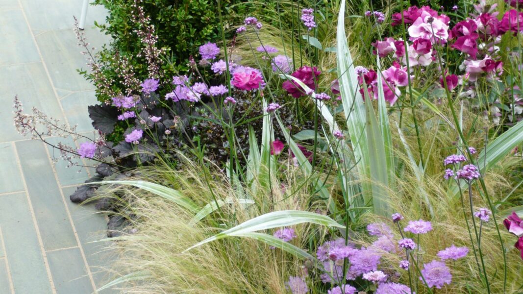 Mai întâi structura: cum proiectezi o grădină care arată bine tot timpul anului