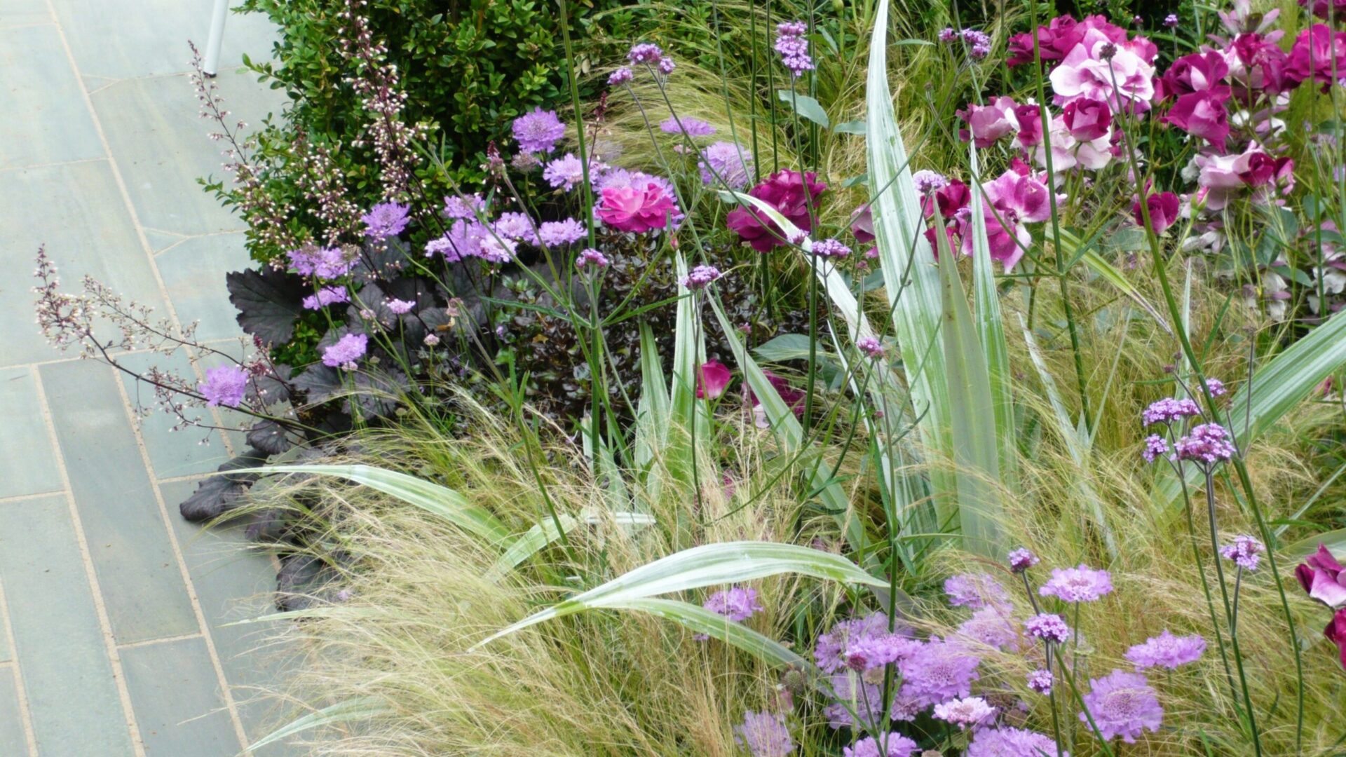 Mai întâi structura: cum proiectezi o grădină care arată bine tot timpul anului