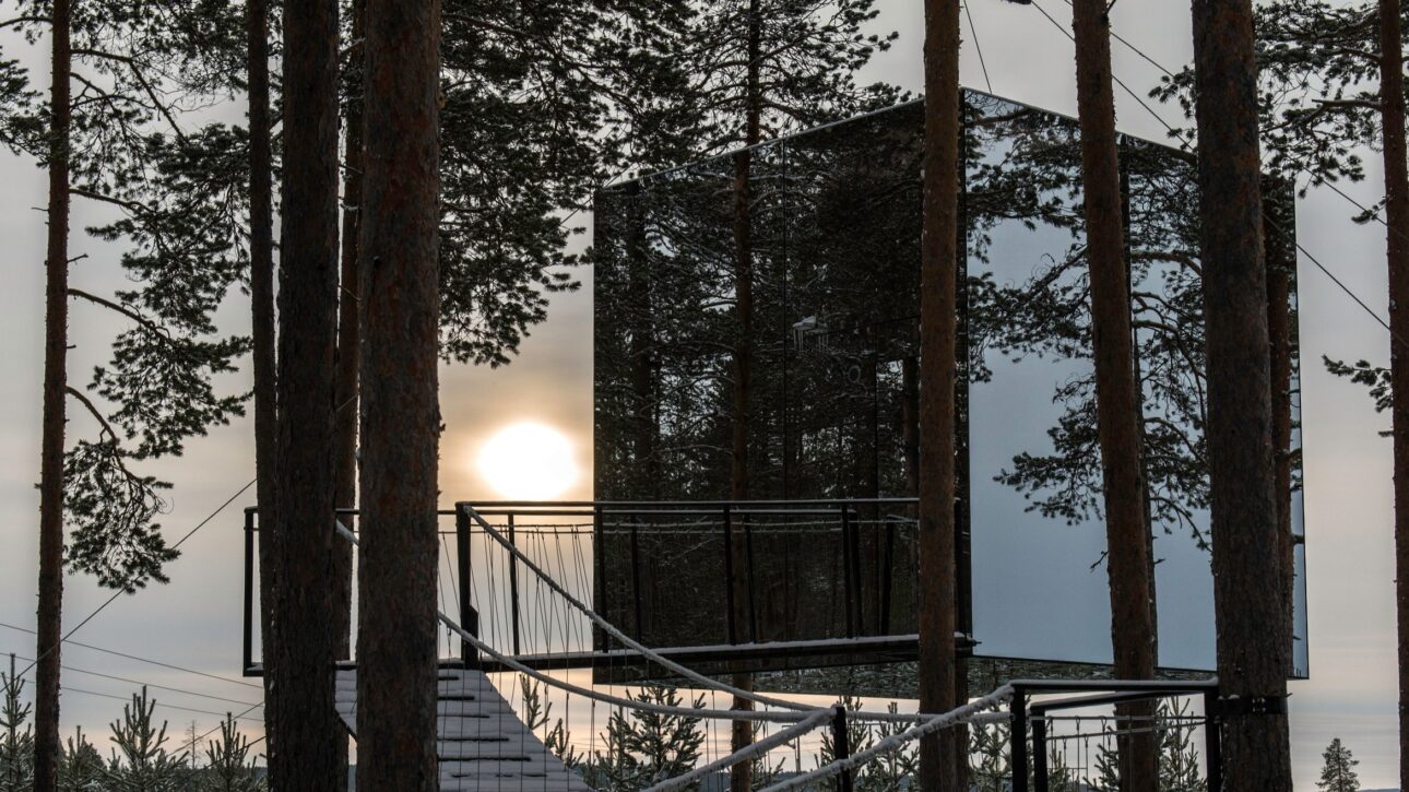 Hotelul din copaci: camere suspendate în pădurea sălbatică din Suedia