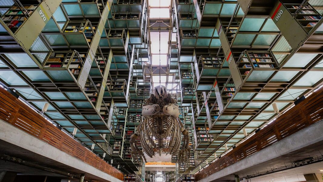 Biblioteca „interstelară” din Mexic ordonează milioane de povești în cadru SF, cvadridimensional