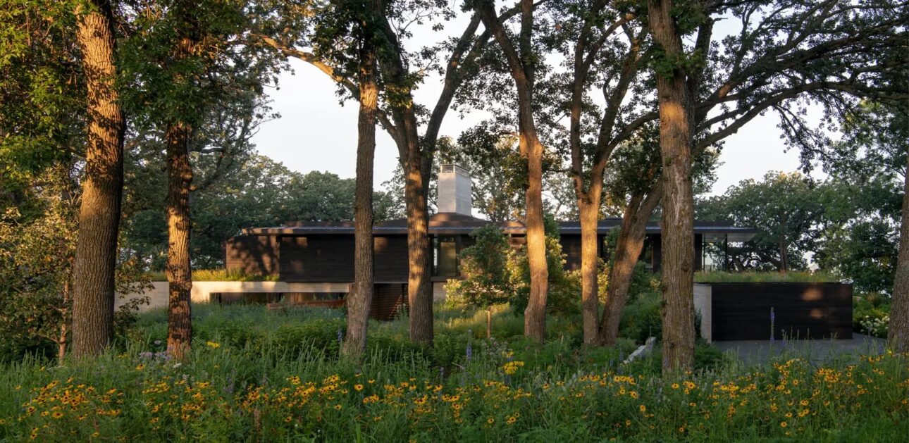 Lecția de restaurare ecologică care a readus la viață un peisaj pierdut