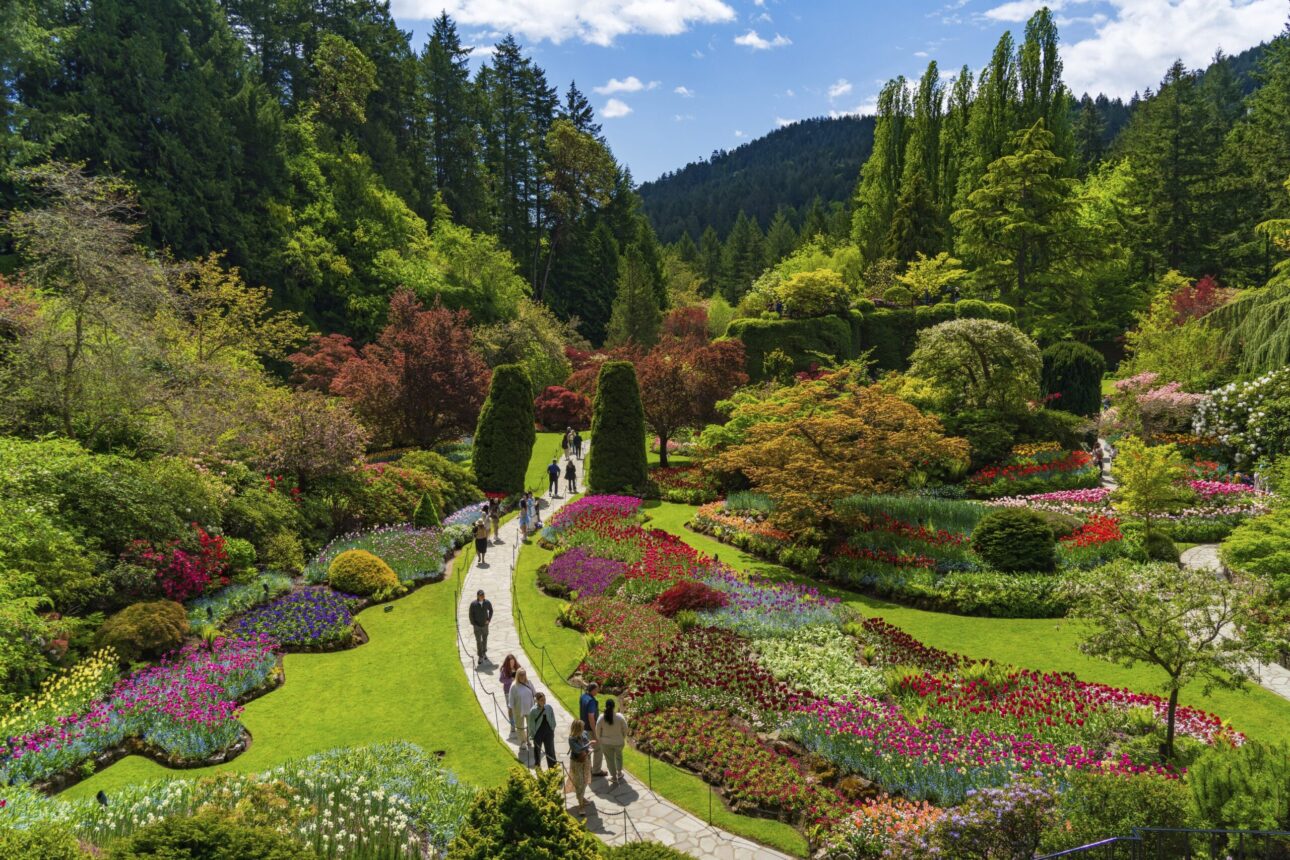 Butchart Gardens, grădina istorică în care cresc 1.000 de feluri de plante (galerie foto)