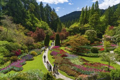 Butchart Gardens, grădina istorică în care cresc 1.000 de feluri de plante (galerie foto)