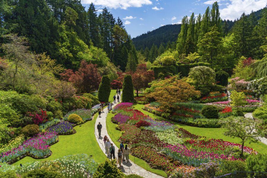 Butchart Gardens, grădina istorică în care cresc 1.000 de feluri de plante (galerie foto)