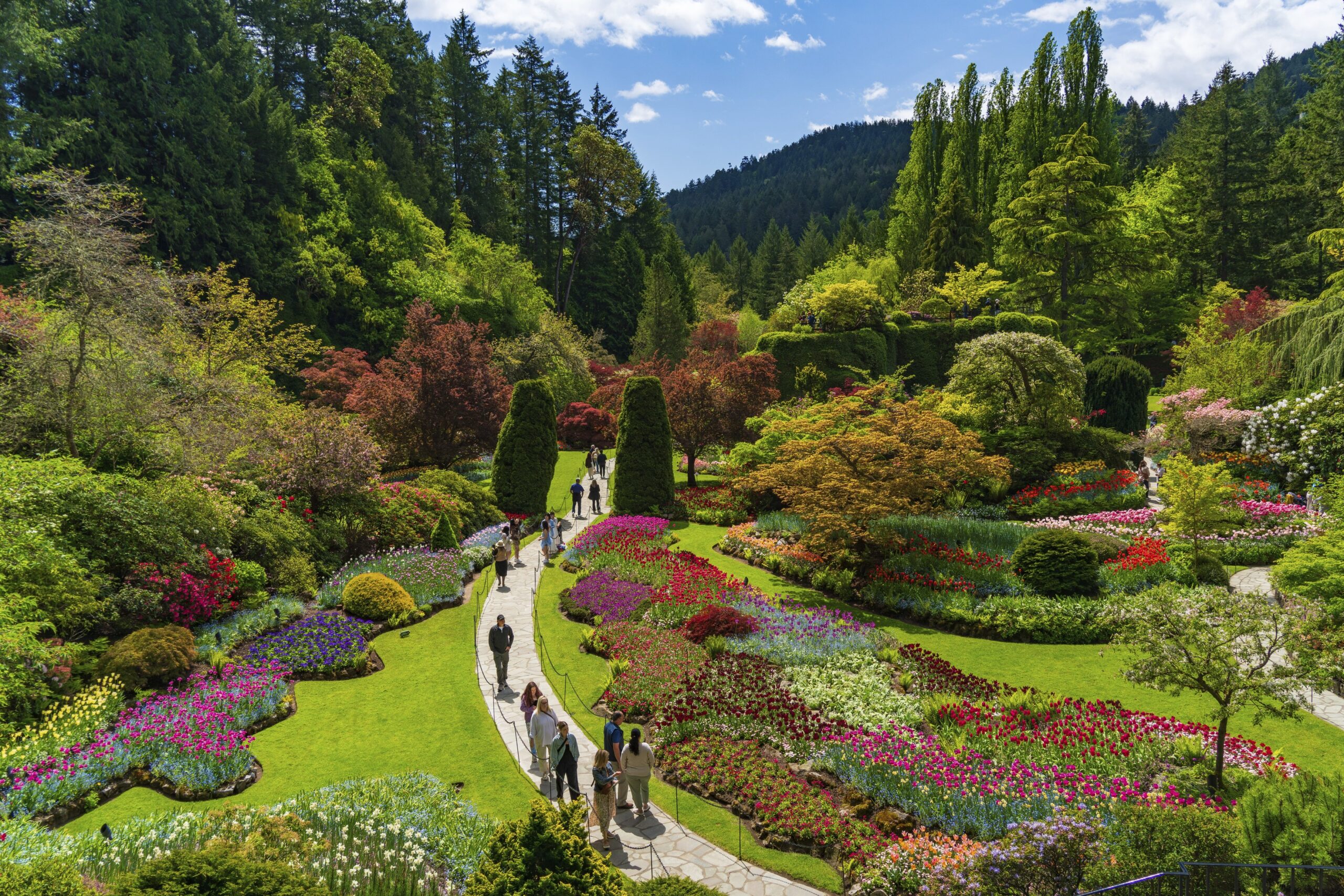 Butchart Gardens, grădina istorică în care cresc 1.000 de feluri de plante (galerie foto)