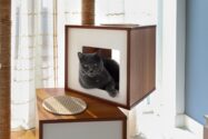 De la coabitare la design: mobilier pentru pisici la nivel de arhitectură domestică