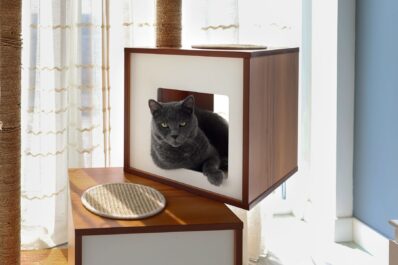 De la coabitare la design: mobilier pentru pisici la nivel de arhitectură domestică