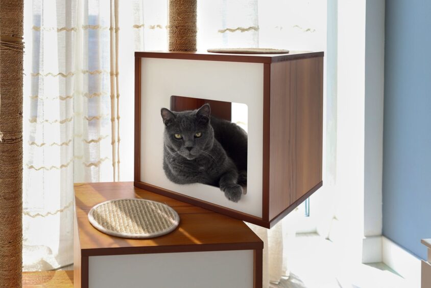 De la coabitare la design: mobilier pentru pisici la nivel de arhitectură domestică