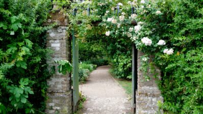 La pas prin cea mai romantică grădină din lume: Giardino di Ninfa