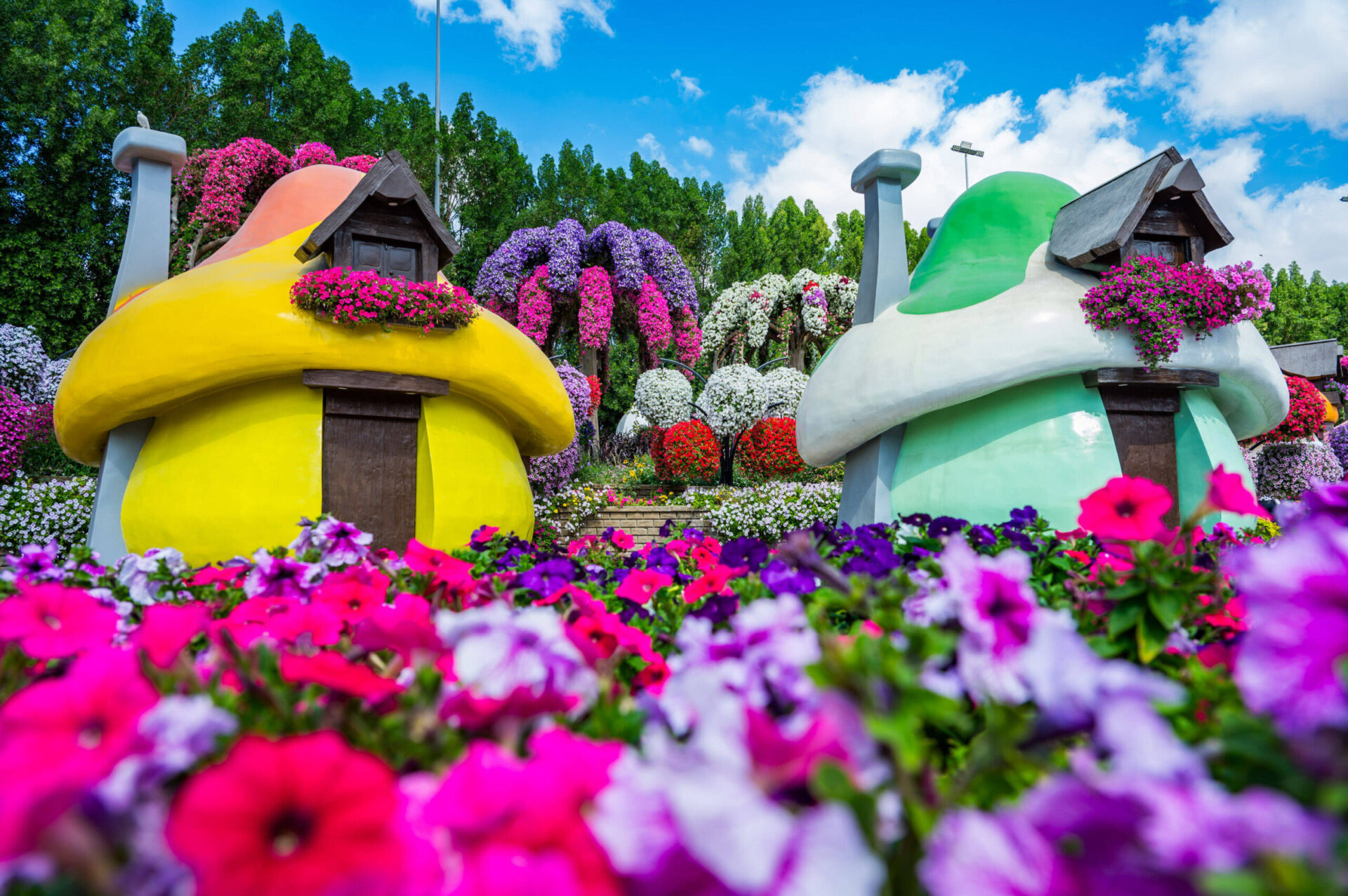Grădini celebre: Dubai Miracle Garden