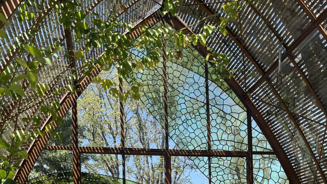 Diaphanous Greenhouse – sera artistică din sticlă, inspirată de aripile de libelulă